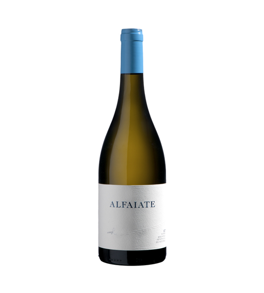 Alfaiate 